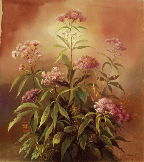 62.Joe-pye-weeds  71 x 80 cm  or  28 x 31.5 in.